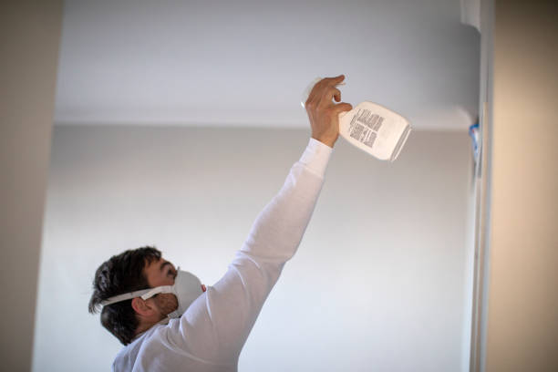 Best Mold Cleaning Services  in Gratton, VA