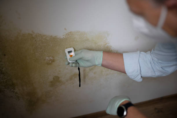 Water Damage Restoration in Gratton, VA
